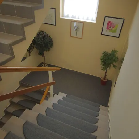 Vadászkürt Superior