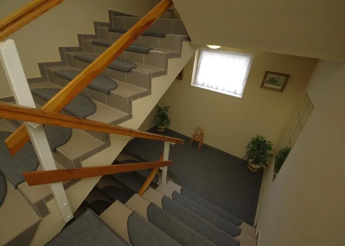 Vadaszkuert Superior