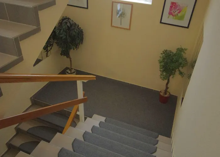 Vadaszkuert Superior